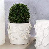 Bougainvillea Garden White Short Cachepot